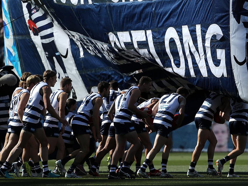 Geelong Cats Club Scraps Much Geelong Cats Hd Wallpaper Pxfuel