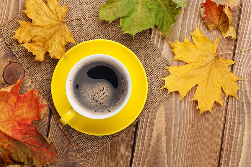 Fall Maple Leaves Mugs Coffee Table HD Wallpaper Pxfuel