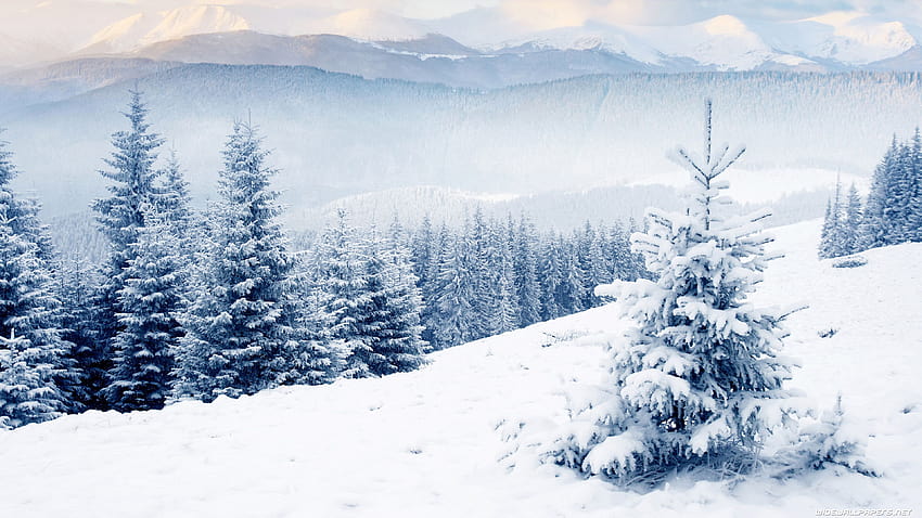 Winter Posted By Samantha Anderson Beautiful Winters Hd Wallpaper Pxfuel