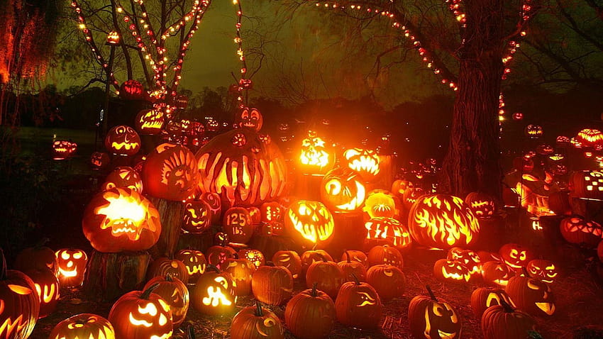 Full Halloween Forest Art Jack Jack O Lantern HD Wallpaper Pxfuel