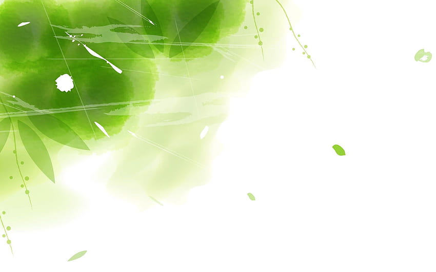 Green And White White And Green Combination Hd Wallpaper Pxfuel