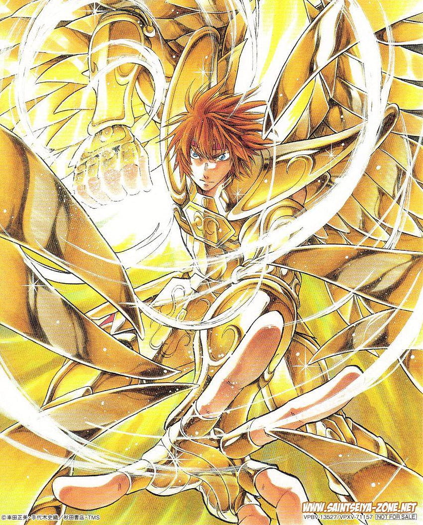 Saint Seiya The Lost Canvas HD電話の壁紙 Pxfuel