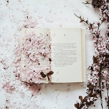 Books And Flowers Book Graphy Book Aesthetic Book HD Phone Wallpaper