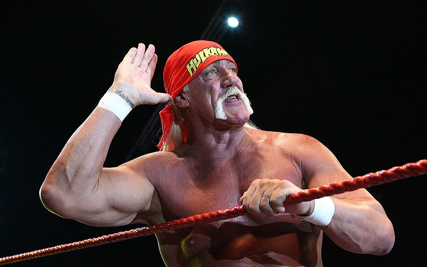 Hulk Hogan Salute Hulk Hogan Computer Hd Wallpaper Pxfuel
