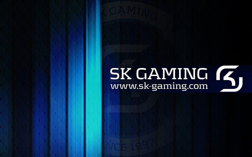 SK Gaming HD Wallpaper Pxfuel