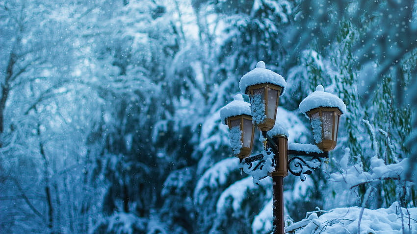 Street Lamp Snow Winter Winter Lamp HD Wallpaper Pxfuel