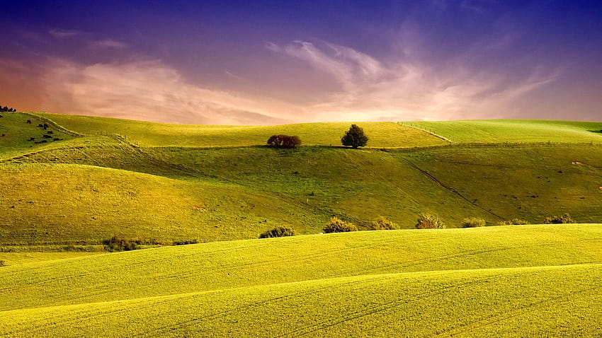 Green Green Meadow Meadows Hd Wallpaper Pxfuel