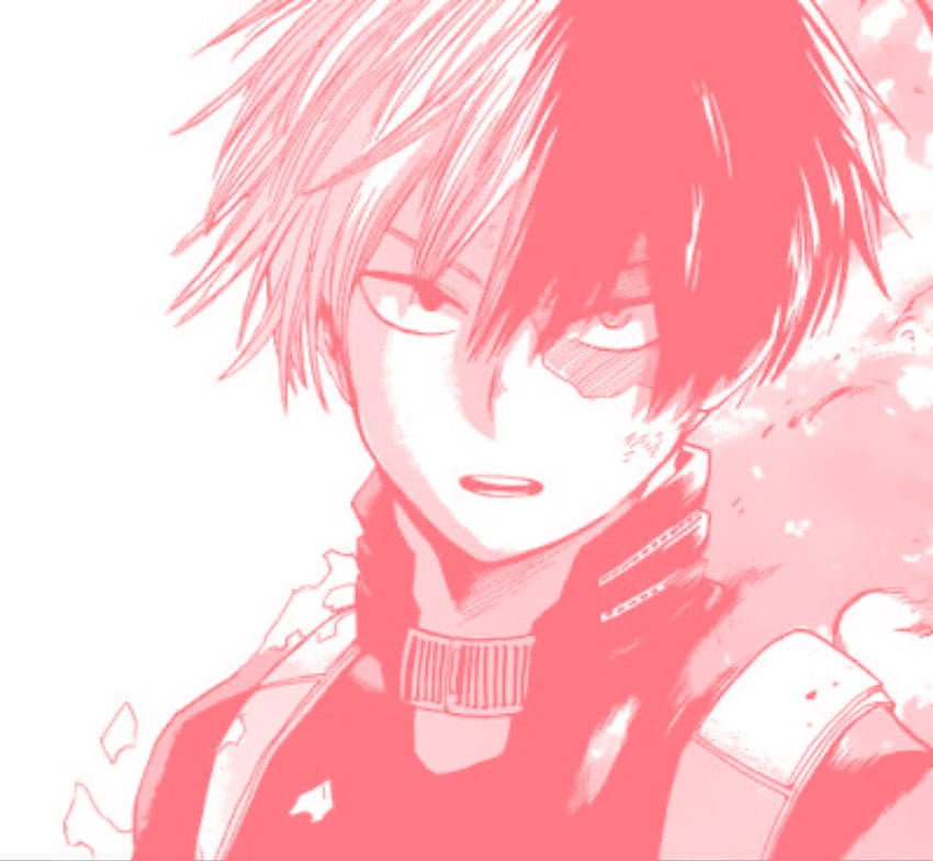 Todoroki Shoto My Hero Academia Pink Manga Icon Manga Icons HD Wallpaper Pxfuel