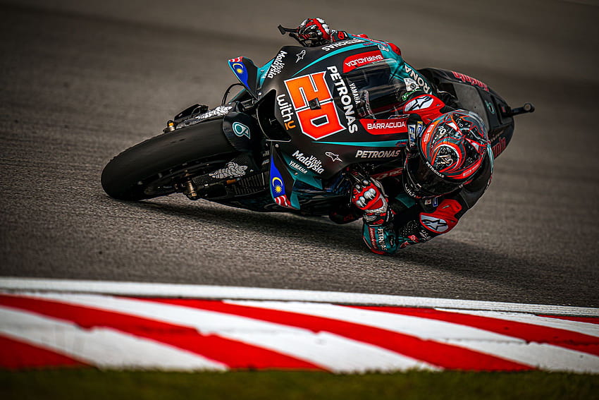 Fabio Quartararo On Twitter Quartararo 2021 HD Wallpaper Pxfuel