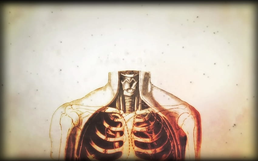 Anatomy Human Physiology Hd Wallpaper Pxfuel