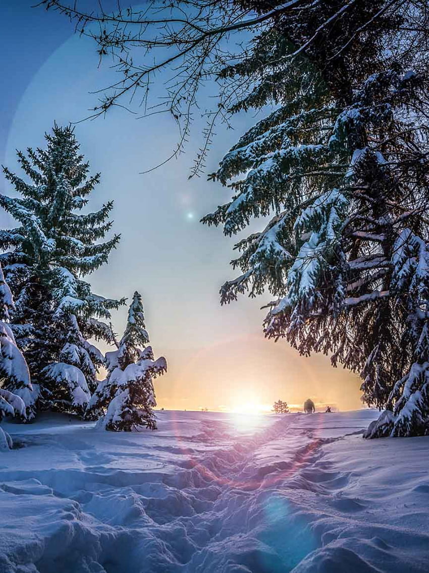 10 X Winter Wonderland IPhone Xs Preppy 1730x1155 For Your Mobile