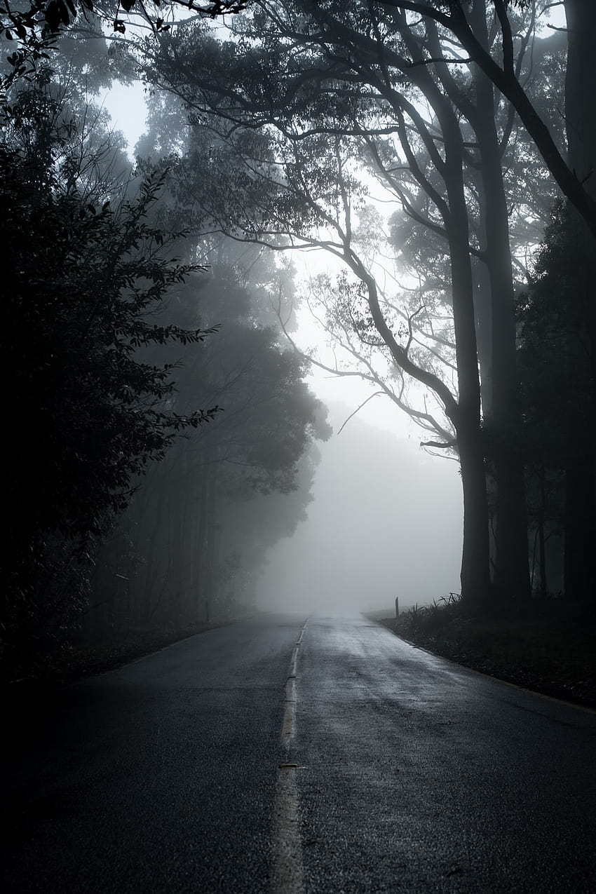 Dark Road With Fog Hd Phone Wallpaper Pxfuel