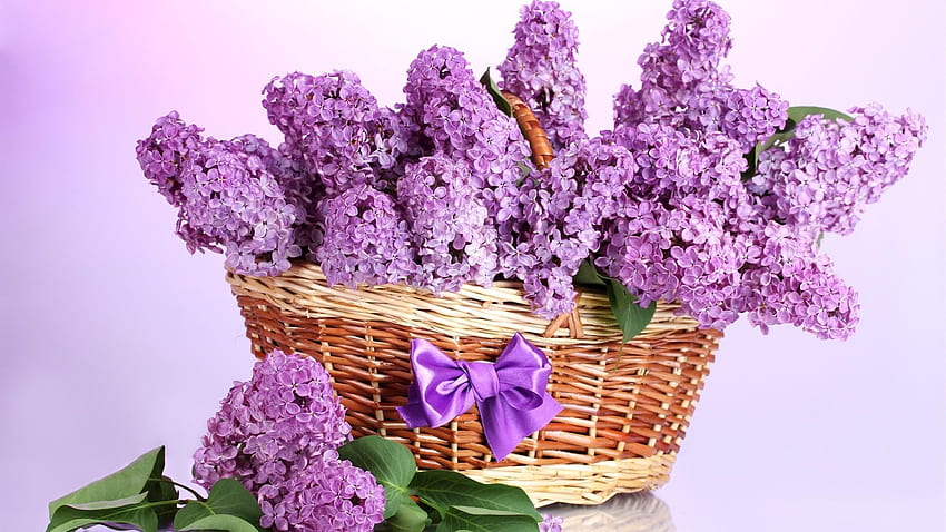 Basket Of Lilacs Basket Of Lavender Hd Wallpaper Pxfuel