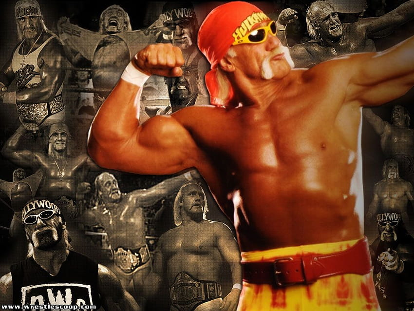 Hulk Hogan Hulk Hogan Computer Hd Wallpaper Pxfuel