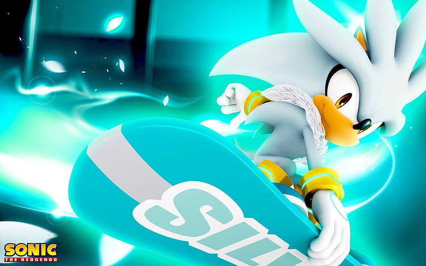 Silver The Hedgehog Snowboarding By SonicTheHedgehogBG On Picts Of