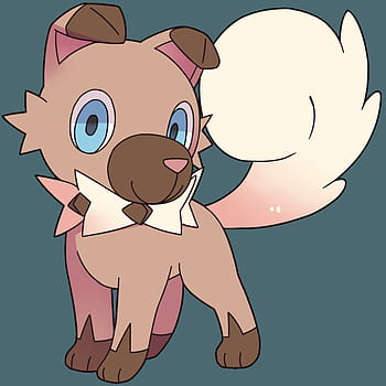 Rockruff HD Wallpaper Pxfuel