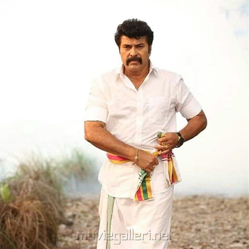 Mammootty S Raja Narasimha To Release On 1st Jan Mammootty Vintage HD