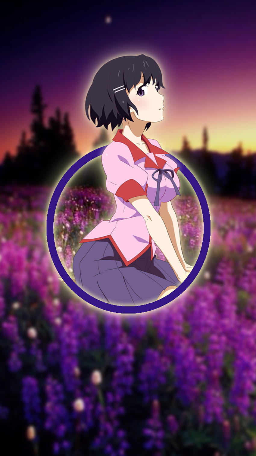 Tsubasa Hanekawa Posted By Ethan Tremblay Hd Phone Wallpaper Pxfuel