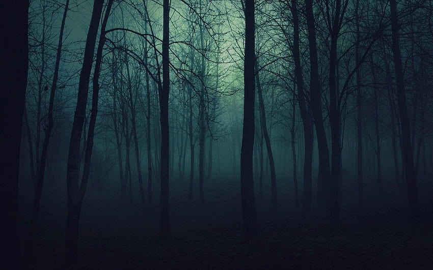 Nature Trees Dark Forests Fog Mist Gloomy Dark Tree Hd Wallpaper Pxfuel