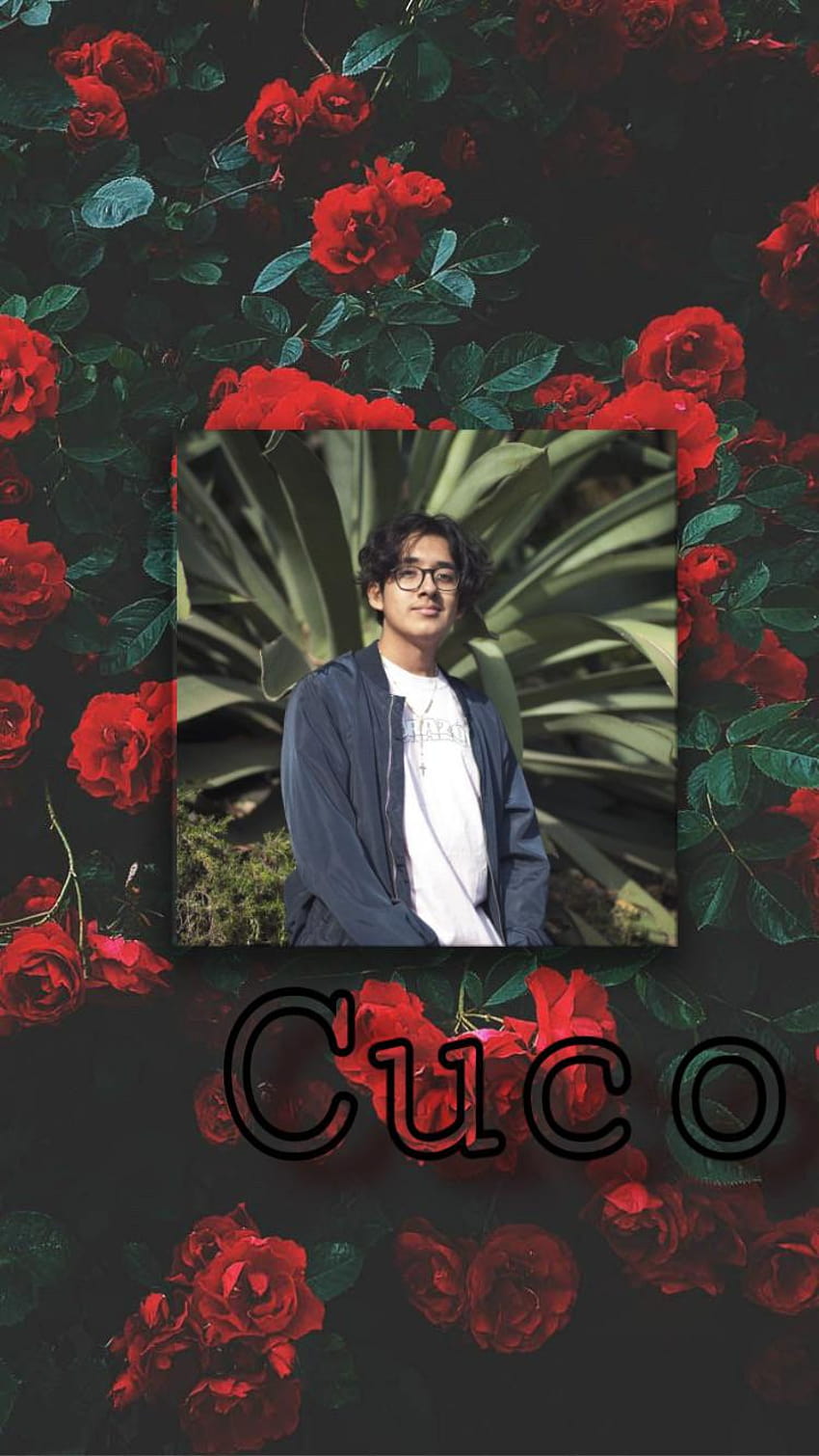 Cuco HD Wallpaper Pxfuel