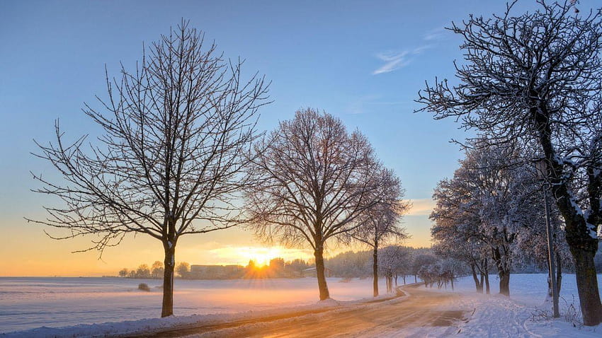 Sunrise Landscapes Nature Winter Snow Trees Dawn Germany Winter Dawn