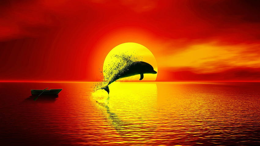 Dolphin Dispersion Mug Sunsets With Dolphins HD Wallpaper Pxfuel