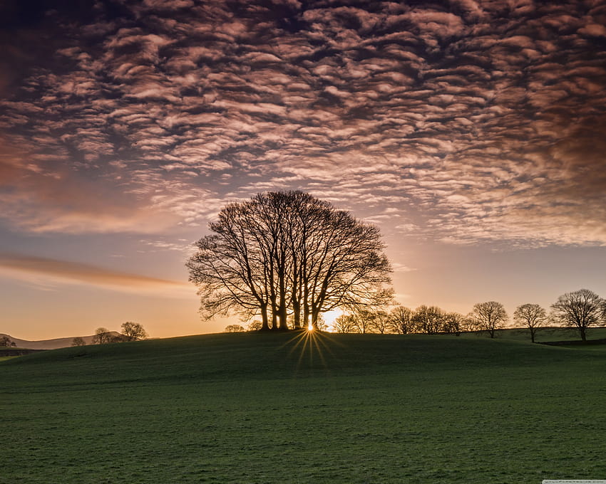 Sun Rays Shining Through Trees Nature Landscape Ultra Hd Wallpaper Pxfuel