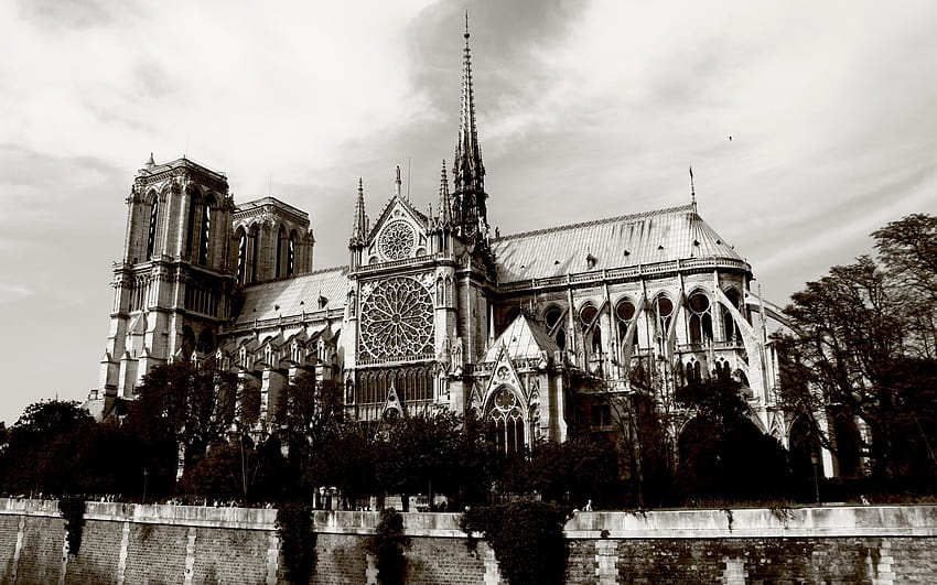 Notre Dame De Paris Ancha Alta Fondo De Pantalla Pxfuel