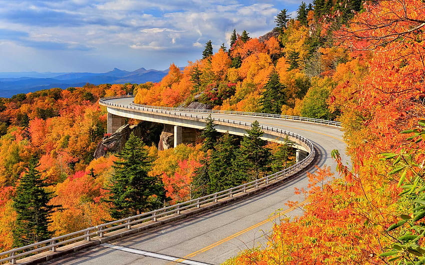 14 Fall Road Trips For Seeing The Best Fall Foliage Coast Autumn