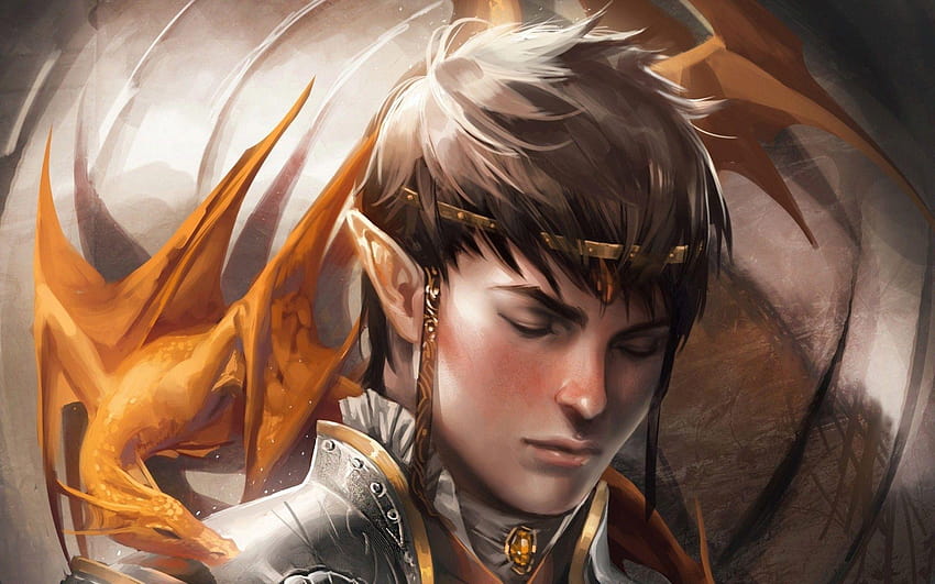 Male Elf Elven Fantasy Hd Wallpaper Pxfuel