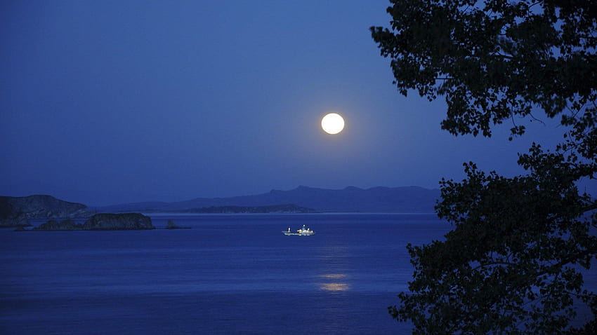 Full Moon Over The Lake Hd Wallpaper Pxfuel