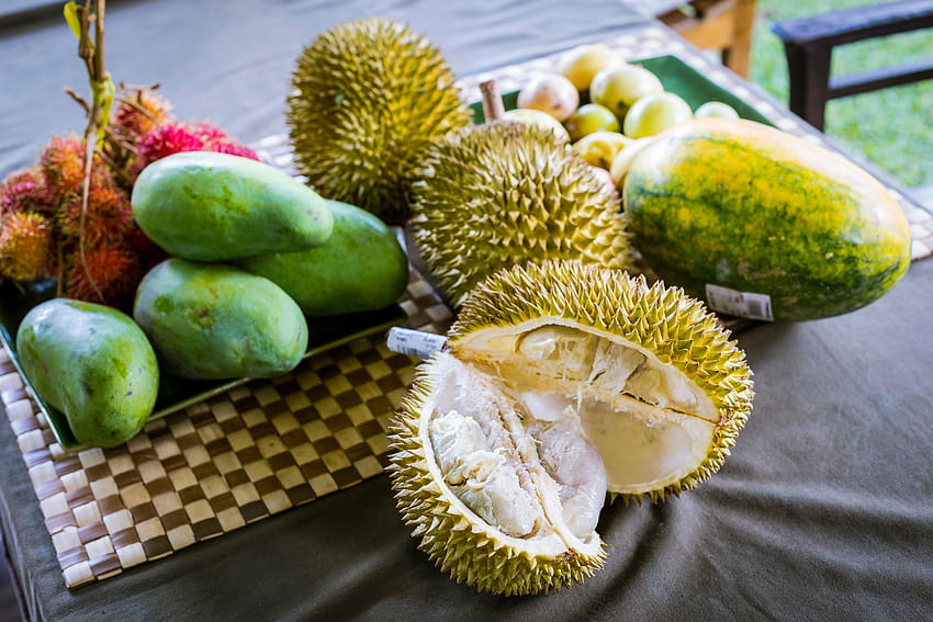 Durian Fruit Hd Wallpaper Pxfuel