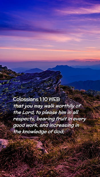 Colossians Hd Wallpaper Pxfuel