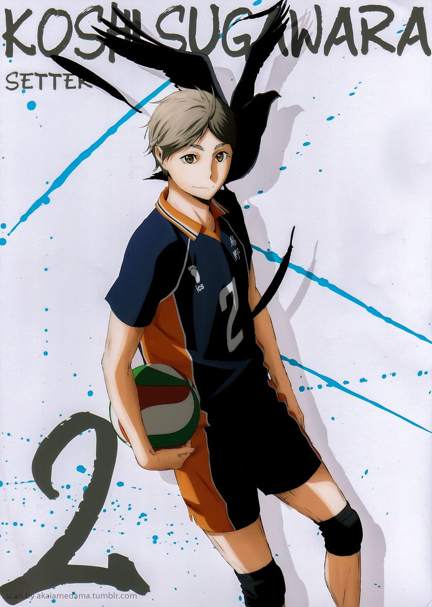 Sugawara Koushi HD Phone Wallpaper Pxfuel