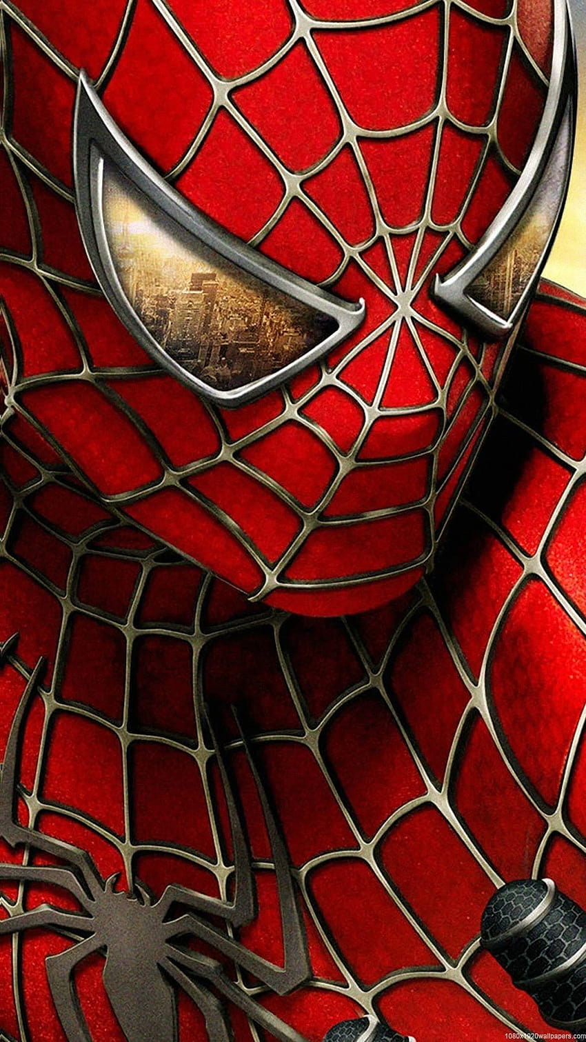 Spider Man Mobile Gallery Assassin Spider Man HD Phone Wallpaper Pxfuel