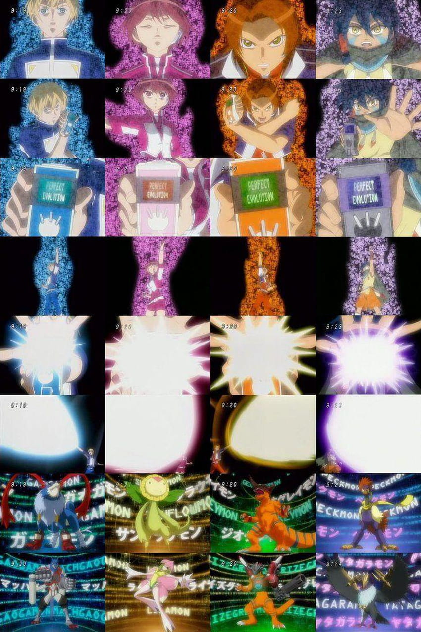 Digimon Data Squad Digievolutions By D D Hd Phone Wallpaper Pxfuel