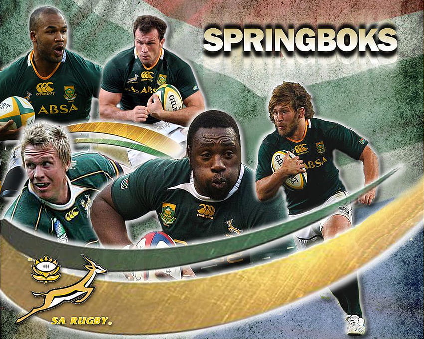 Springboks And Hd Wallpaper Pxfuel 22304 Hot Sex Picture