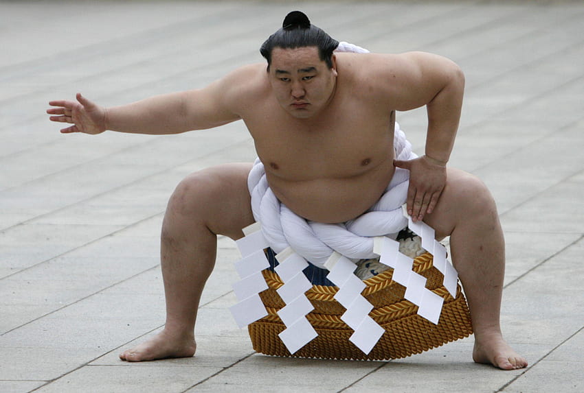 Sumo Wrestler High Quality HD Wallpaper Pxfuel