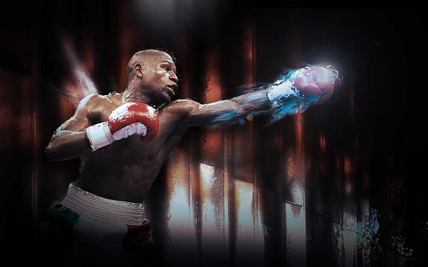 Floyd Mayweather 2016 HD Wallpaper Pxfuel