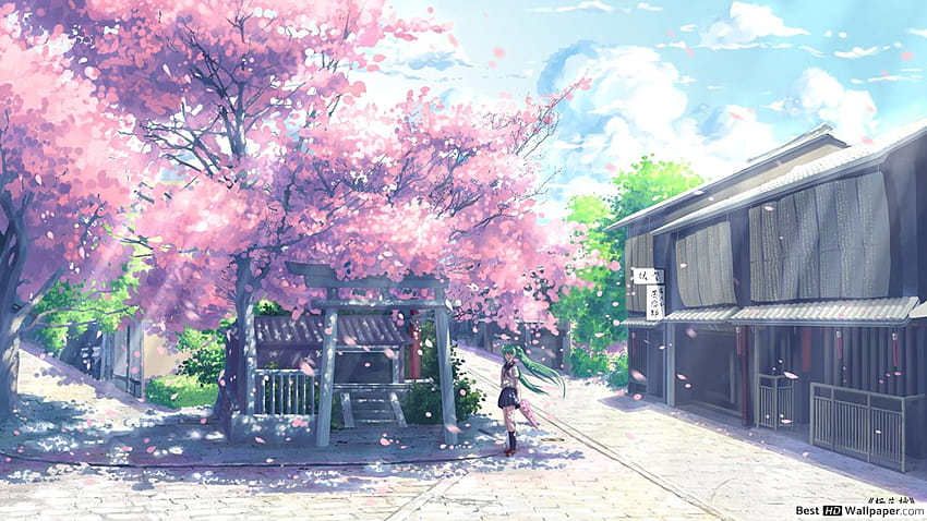 Hatsune Miku Under The Sakura Blossom Tree Anime Sakura Trees Hd