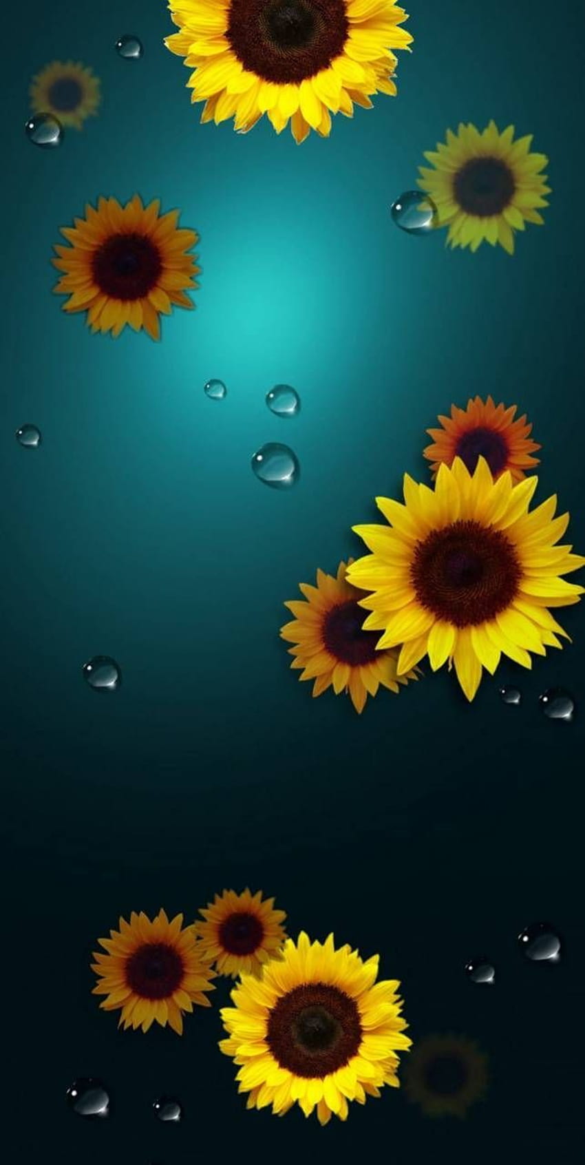 Girasol Pictures  Download Free Images on Unsplash