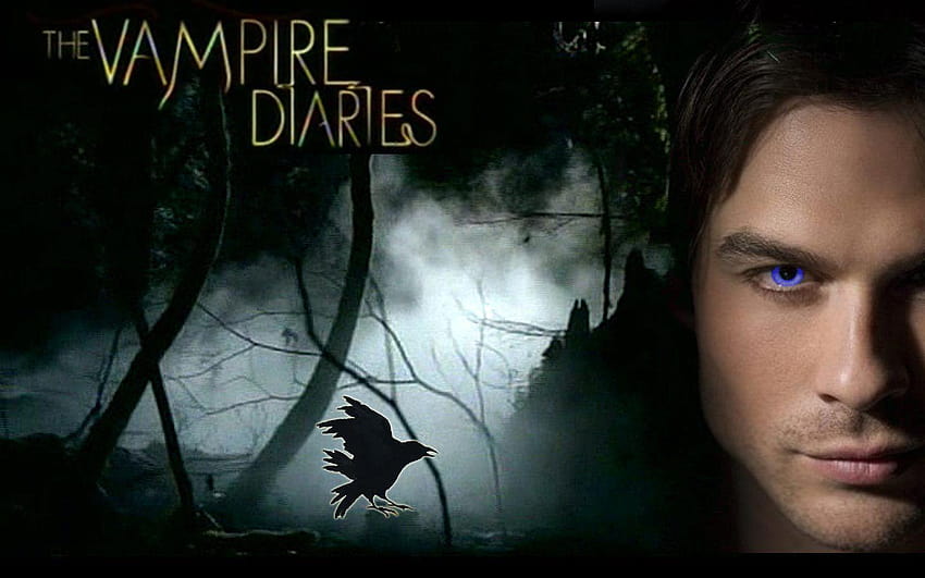 The Vampire Diaries, damon vampire diaries HD wallpaper | Pxfuel