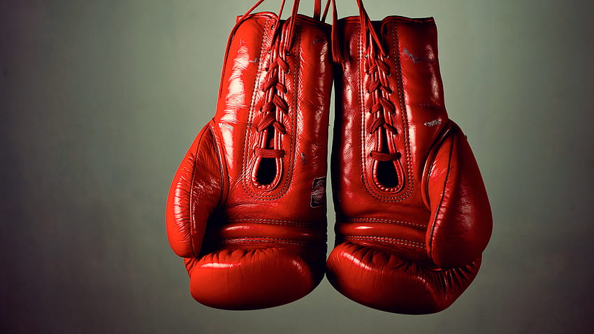 fondo de pantalla de guantes de boxeo eternos