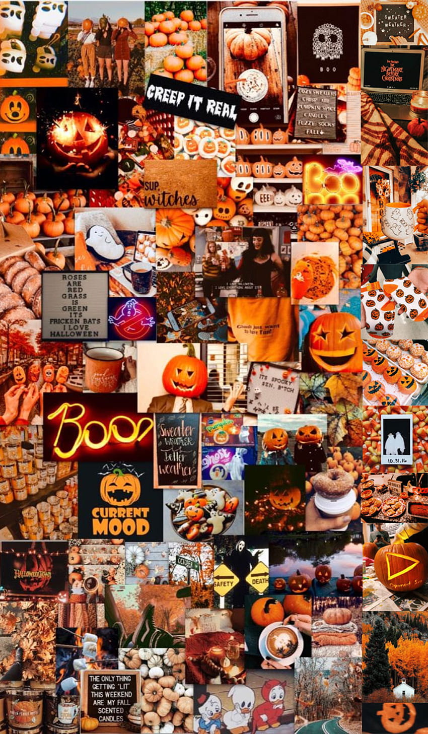 30 Autumn Collage : Cute Halloween Collage for Phone, halloween 2022 HD ...