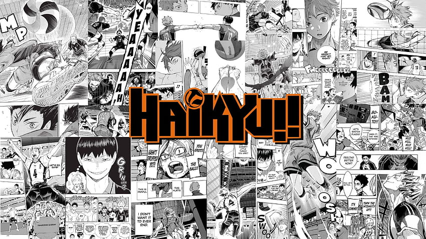 Spanduk Terbang Haikyuu, manga haikyuu Wallpaper HD