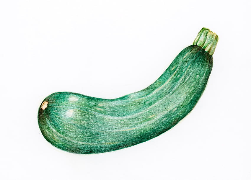 Courgette, zucchini HD wallpaper