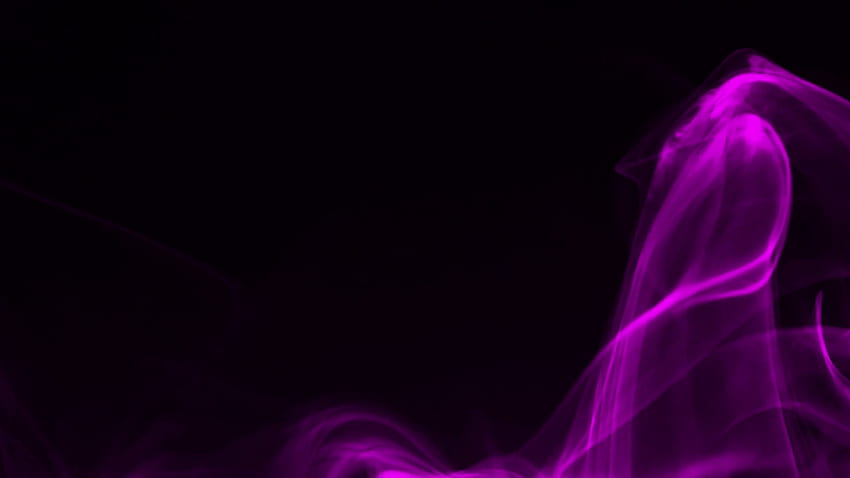 Colored curl, wave of smoke on black backgrounds, pink and black background HD wallpaper
