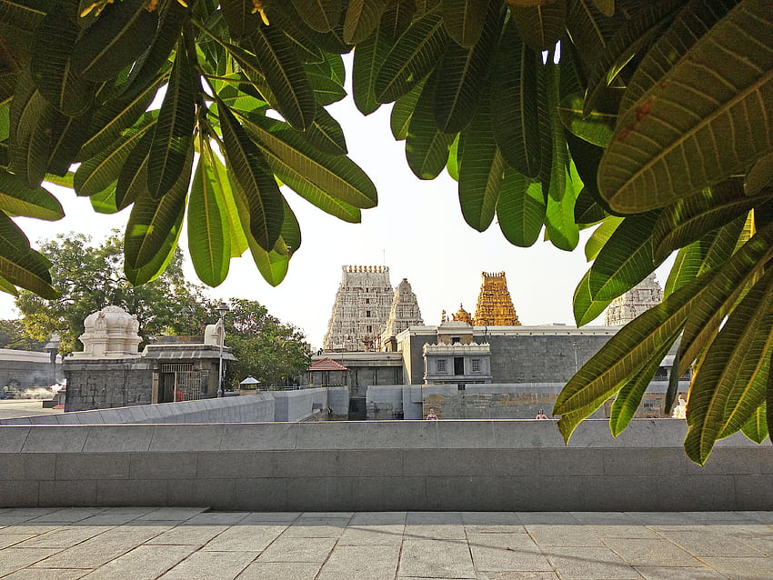 stock of Kamakshi amman temple, kanchipuram, kanchipuram kamakshi HD wallpaper