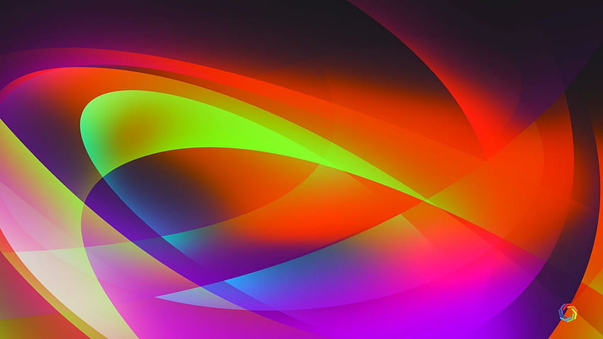 Ultra Abstract on Dog, colorful graphic design abstract HD wallpaper