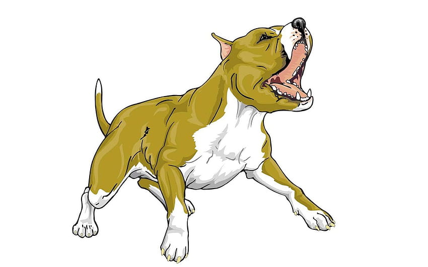 perros, Animado, Bull, Pitbull / and Mobile, perros de dibujos animados fondo de pantalla